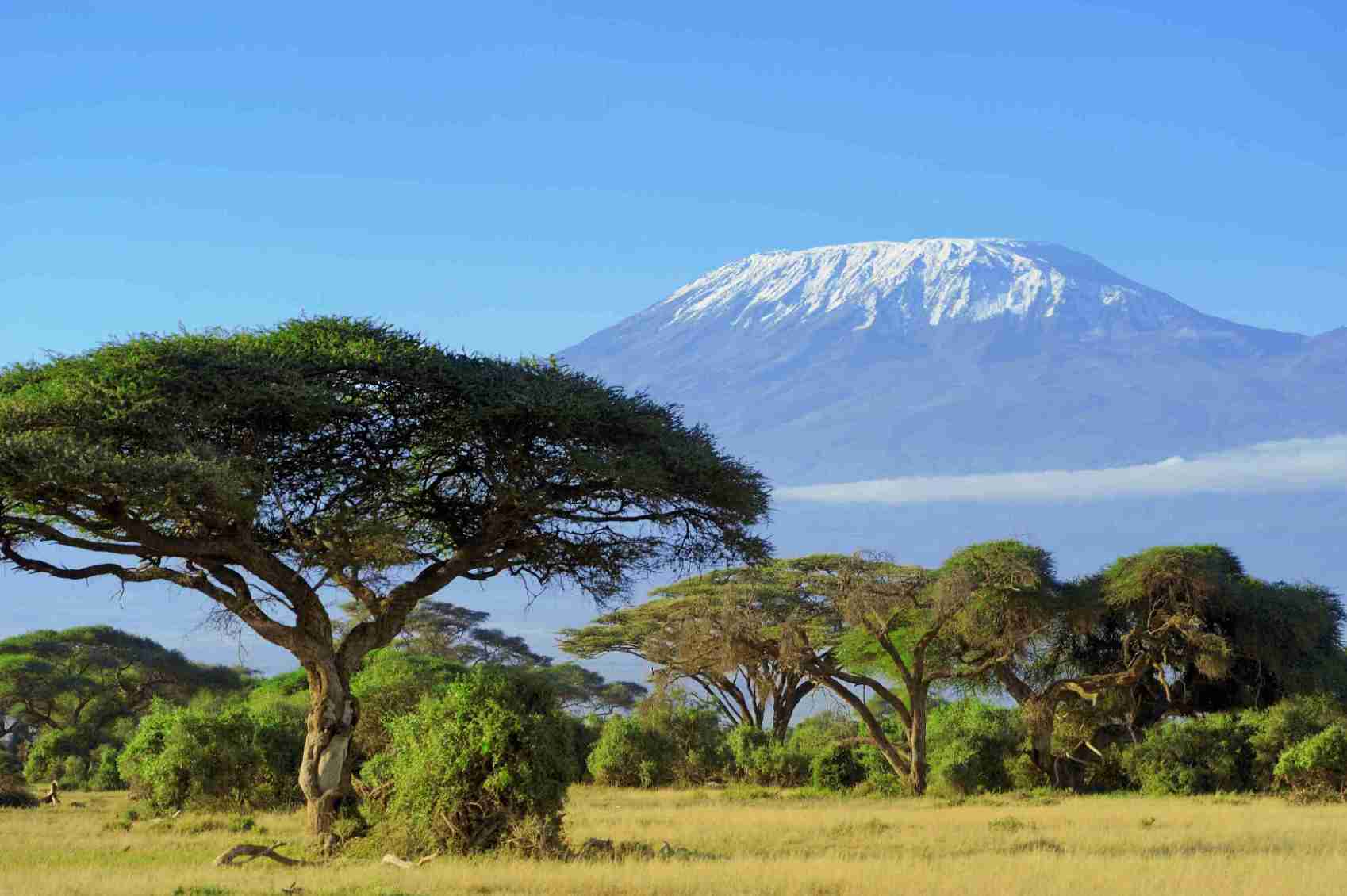 Kilimanjaro tansania